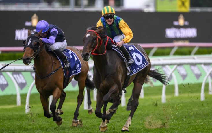 团队打法 团队打法