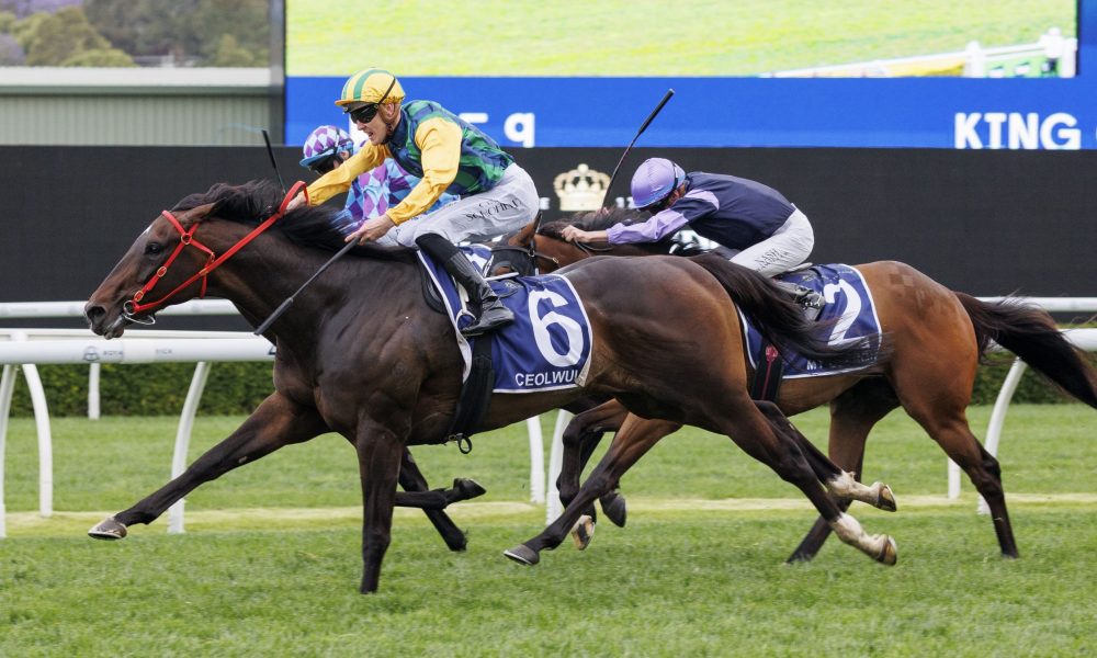 也是在为俱 也是在为俱