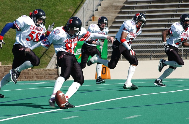 匹克体育场 匹克体育场